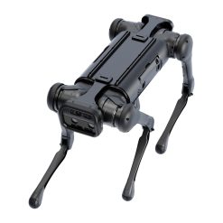Alternative view of Aliengo
